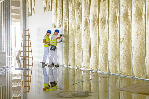 Best Insulation Maintenance and Repair in Rutherford, TN